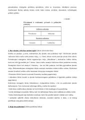 Verslo sėkmė 4 puslapis