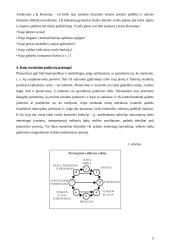 Verslo sėkmė 5 puslapis