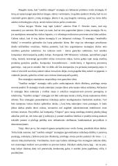 Verslo sėkmė 7 puslapis