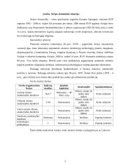 Verslo steigimas Europos Sąjungos šalyse: Airija 2 puslapis