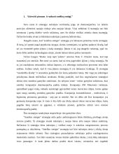 Verslo strategijos 2 puslapis