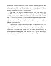 Verslo strategijos 3 puslapis