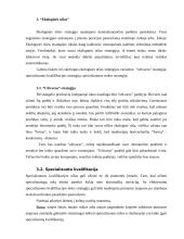 Verslo strategijos 6 puslapis