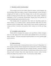 Verslo strategijos 8 puslapis