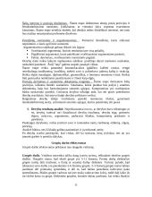 Verslo vadybos kontrolinis darbas 11 puslapis