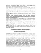 Verslo vadybos kontrolinis darbas 3 puslapis