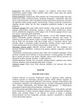 Verslo vadybos kontrolinis darbas 4 puslapis