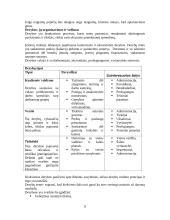 Verslo vadybos kontrolinis darbas 8 puslapis