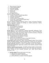 Verslo vadybos kontrolinis darbas 10 puslapis