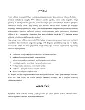 Verslo valdymo sistemų įdiegimo kaštai 2 puslapis