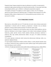 Verslo valdymo sistemų įdiegimo kaštai 11 puslapis