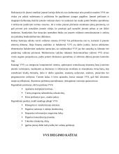 Verslo valdymo sistemų įdiegimo kaštai 3 puslapis