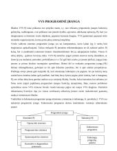 Verslo valdymo sistemų įdiegimo kaštai 5 puslapis