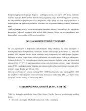 Verslo valdymo sistemų įdiegimo kaštai 6 puslapis