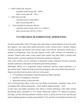 Verslo valdymo sistemų įdiegimo kaštai 7 puslapis