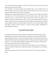 Verslo valdymo sistemų įdiegimo kaštai 8 puslapis