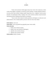 Verslo vertė kaip pagrindinis įmonės veiklos rodiklis 2 puslapis