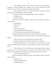 Verslo vertė kaip pagrindinis įmonės veiklos rodiklis 12 puslapis