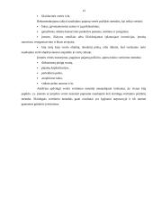 Verslo vertė kaip pagrindinis įmonės veiklos rodiklis 13 puslapis