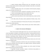 Verslo vertė kaip pagrindinis įmonės veiklos rodiklis 4 puslapis