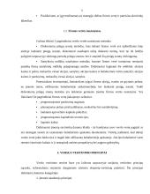 Verslo vertė kaip pagrindinis įmonės veiklos rodiklis 5 puslapis