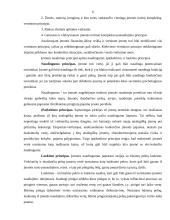 Verslo vertė kaip pagrindinis įmonės veiklos rodiklis 6 puslapis