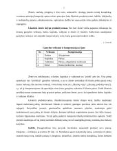 Verslo vertė kaip pagrindinis įmonės veiklos rodiklis 7 puslapis