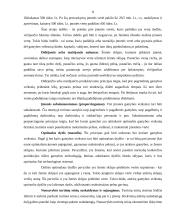 Verslo vertė kaip pagrindinis įmonės veiklos rodiklis 8 puslapis