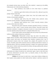 Verslo vertė kaip pagrindinis įmonės veiklos rodiklis 9 puslapis