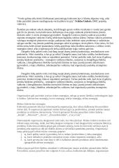 Verslumo strategijos