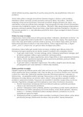 Verslumo strategijos 2 puslapis