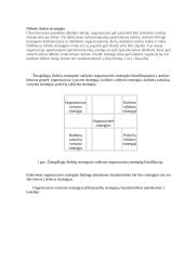 Verslumo strategijos 3 puslapis