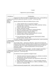 Verslumo strategijos 4 puslapis