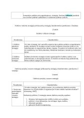 Verslumo strategijos 5 puslapis