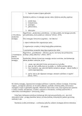 Verslumo strategijos 6 puslapis