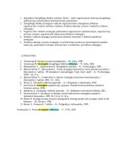 Verslumo strategijos 7 puslapis