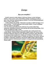 Vertybių svarba 2 puslapis