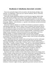 Vertybių svarba 4 puslapis