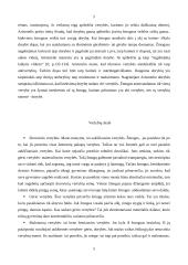  Vertybių samprata 5 puslapis