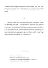  Vertybių samprata 6 puslapis