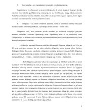 Vertybinių popierių rinka ir rūšys 4 puslapis