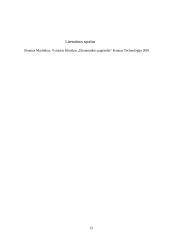 Vertybiniai popieriai ir jų rūšys  13 puslapis