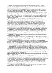 Vertybiniai popieriai ir jų rūšys  5 puslapis