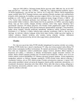 Vertybiniai popieriai Lietuvos Respublikoje 13 puslapis