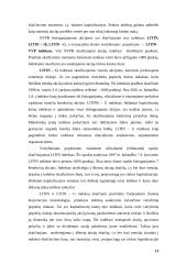 Vertybinių popierių rūšys, birža, infrastruktūra ir indeksas 13 puslapis