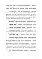 Vertybinių popierių rūšys, birža, infrastruktūra ir indeksas 7 puslapis