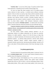 Vertybinių popierių rūšys, birža, infrastruktūra ir indeksas 8 puslapis