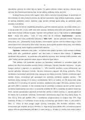 Vertybiniai popieriai ir jų vaidmuo ekonomikoje 11 puslapis