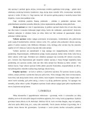 Vertybiniai popieriai ir jų vaidmuo ekonomikoje 12 puslapis