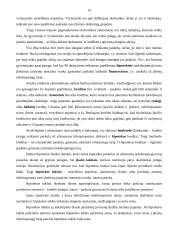 Vertybiniai popieriai ir jų vaidmuo ekonomikoje 13 puslapis